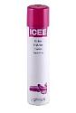 ICEE600